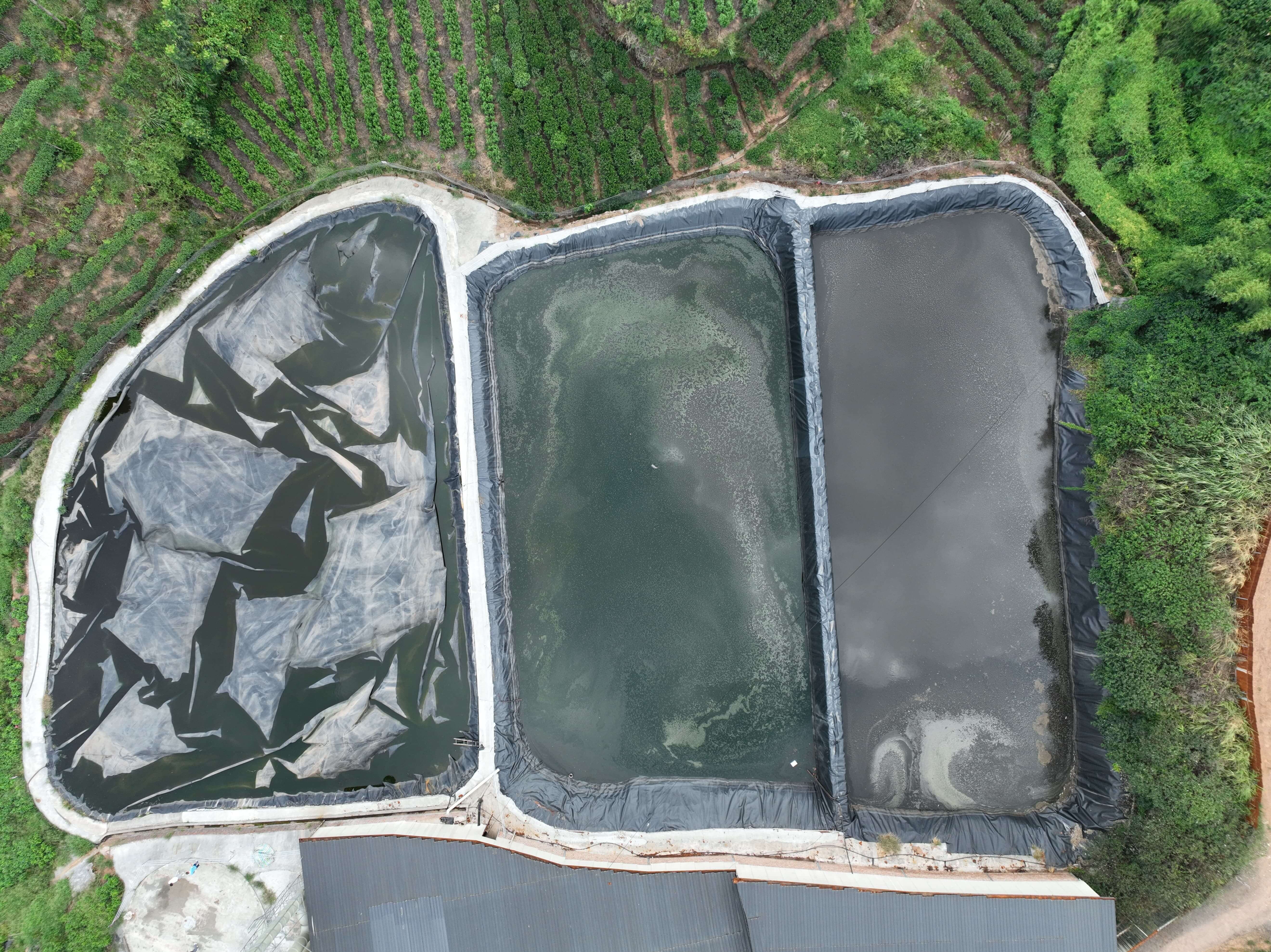 雅安项目治理前实拍