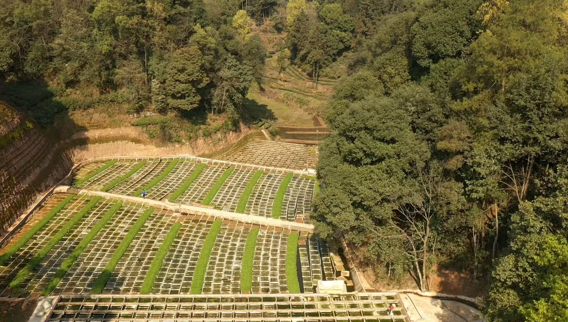 阶梯自然能反应装置实拍